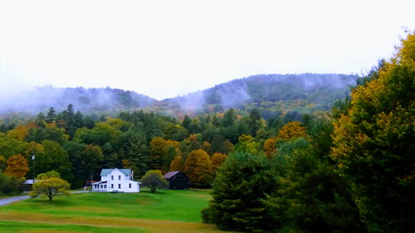 Fall photo contest